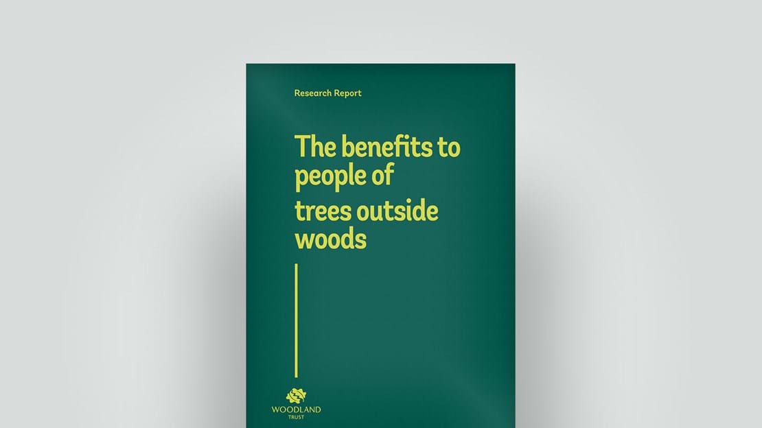 Trees outside woods report, 2018