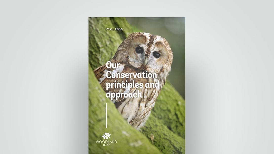 Conservation principle guide, 2018