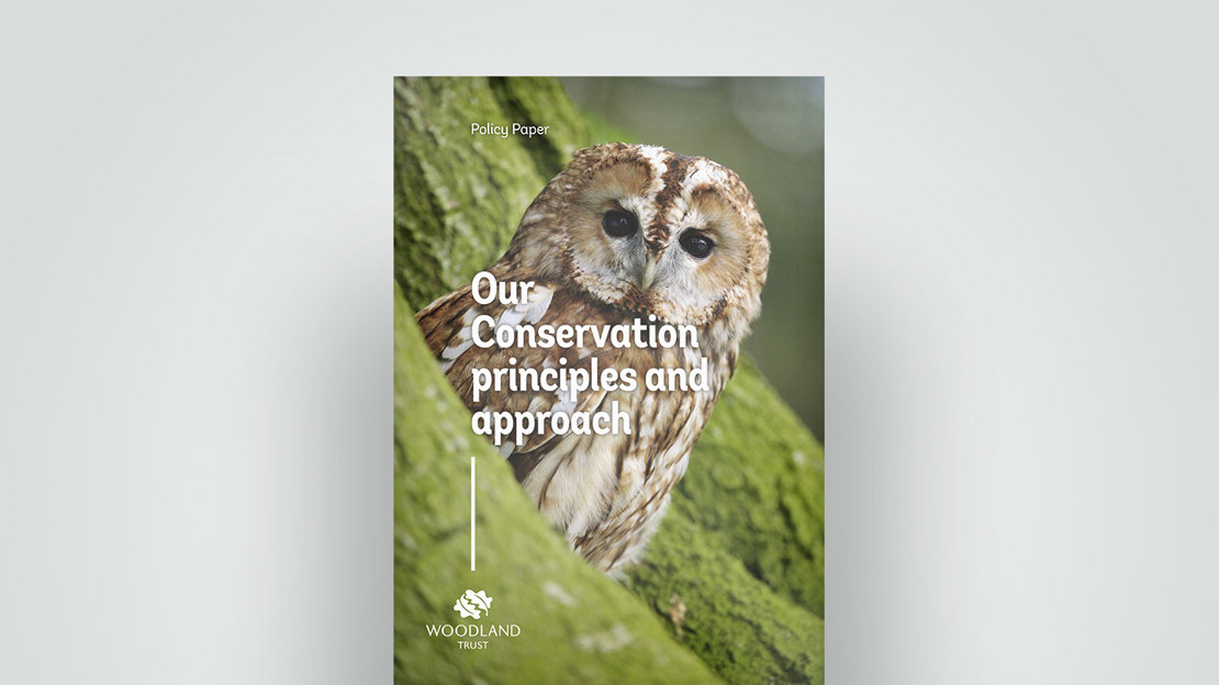 Conservation principle guide, 2018