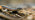 Slow worm with its tongue out