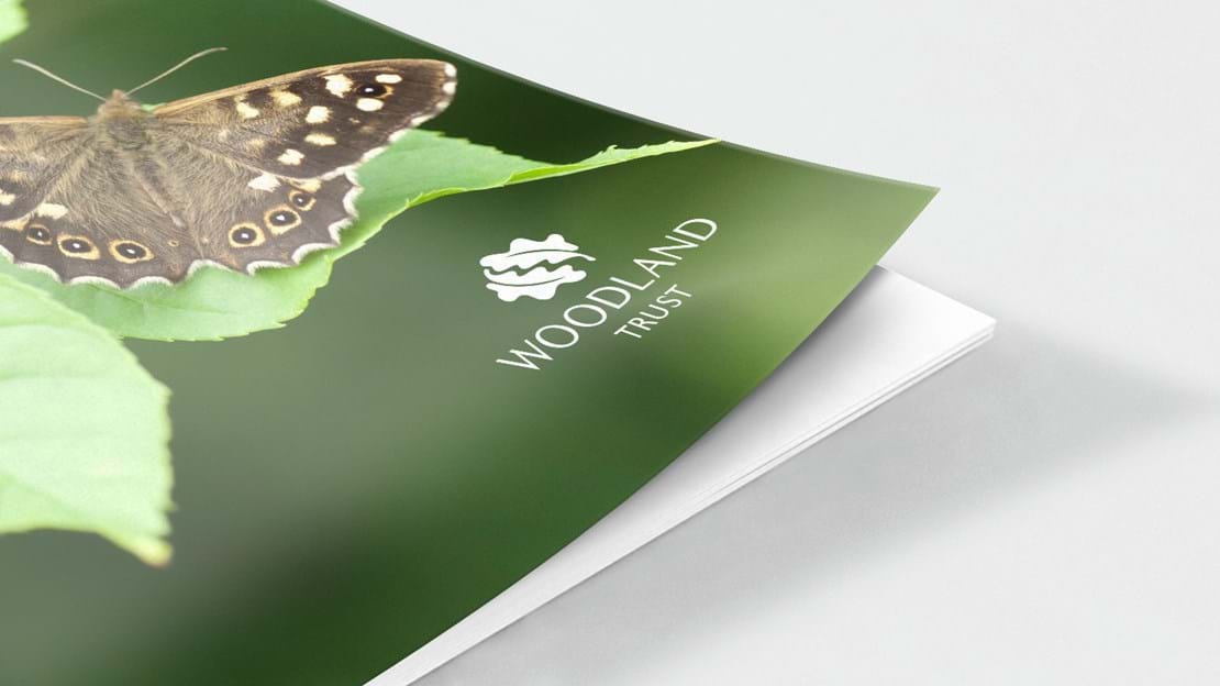Speckled wood butterfly document cover