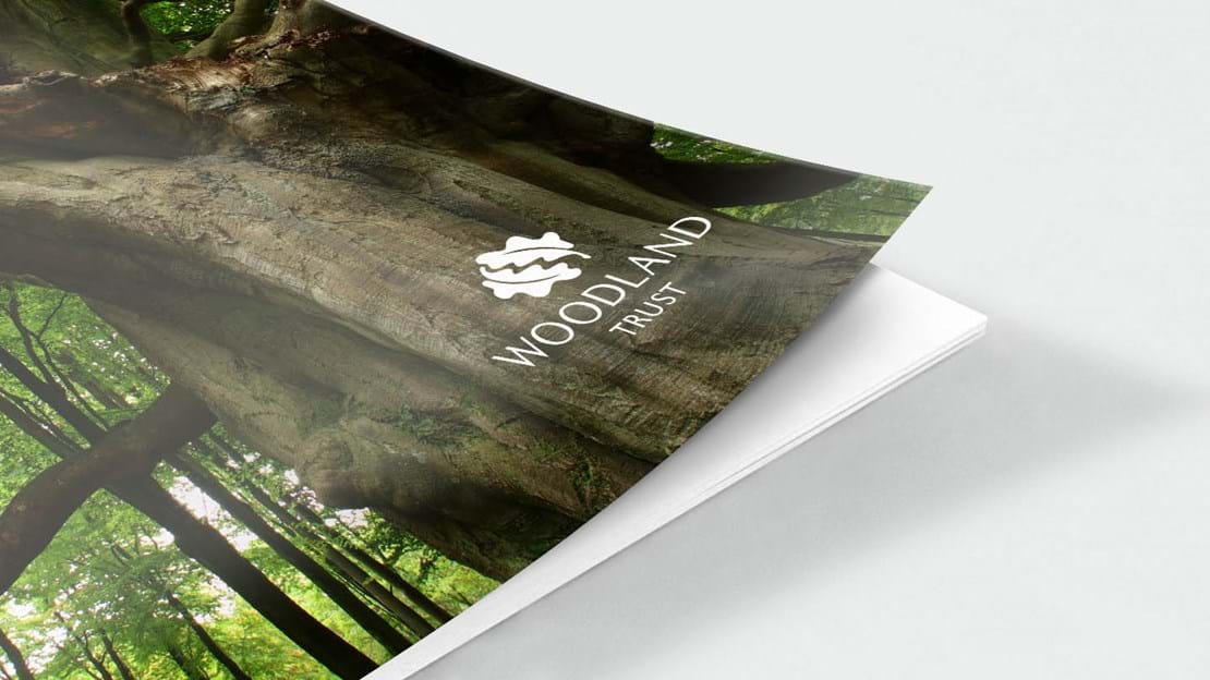Ancient woodland report front cover