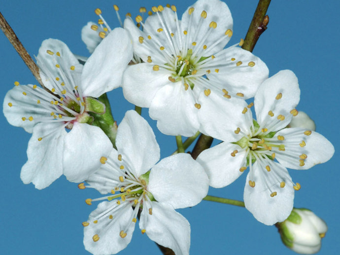 Umbraco.Cms.Infrastructure.PublishedCache.Property