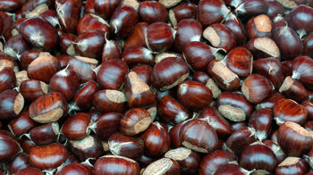 Sweet chestnuts piled up Sweet chestnuts piled up