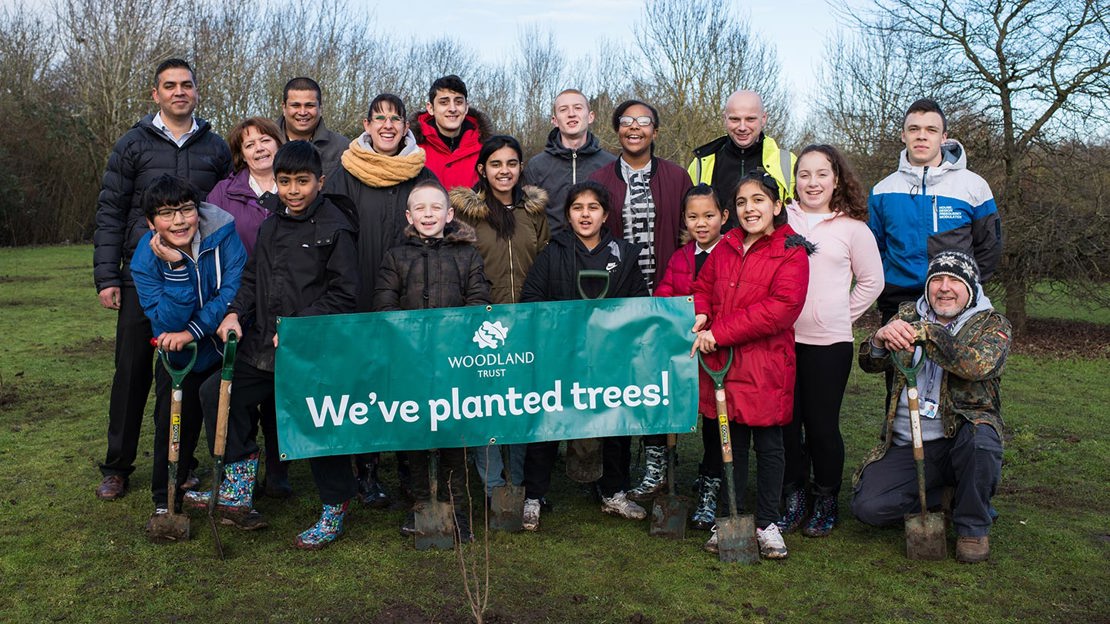 Moto tree planting