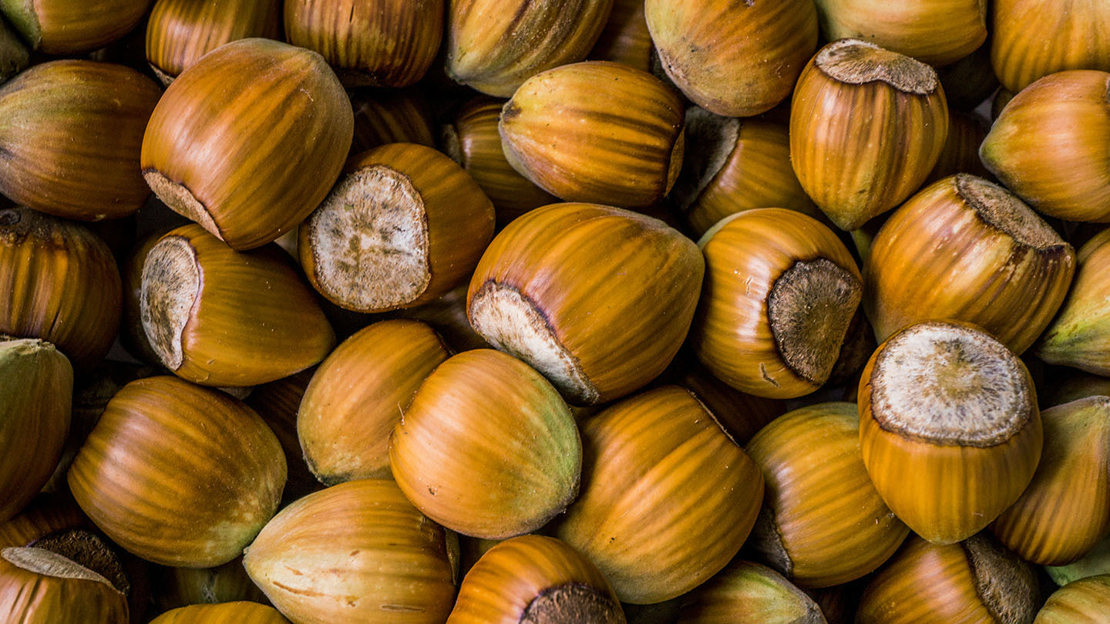 Hazel nuts