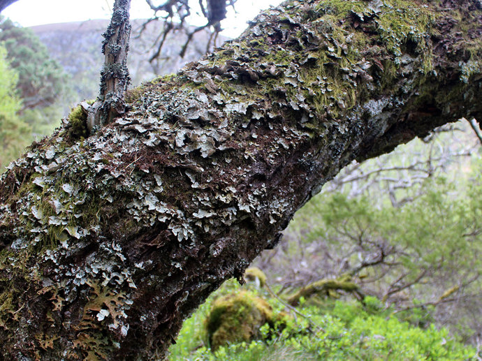 Umbraco.Cms.Infrastructure.PublishedCache.Property