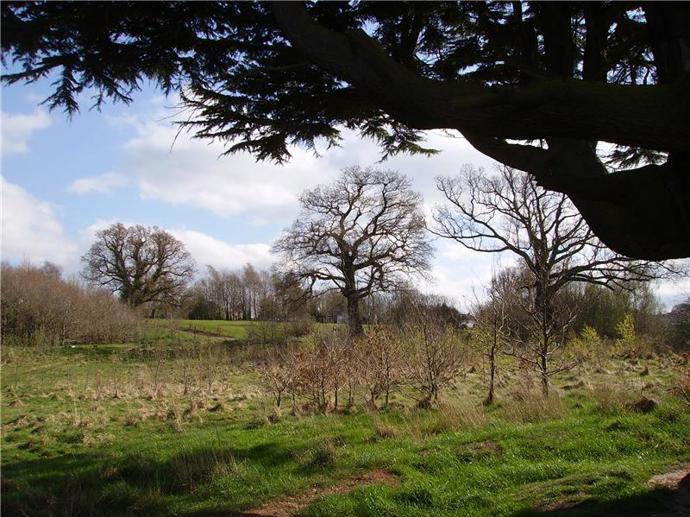 Umbraco.Cms.Infrastructure.PublishedCache.Property