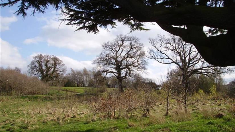 Umbraco.Cms.Infrastructure.PublishedCache.Property