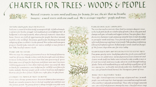 Illustrated Tree Charter document