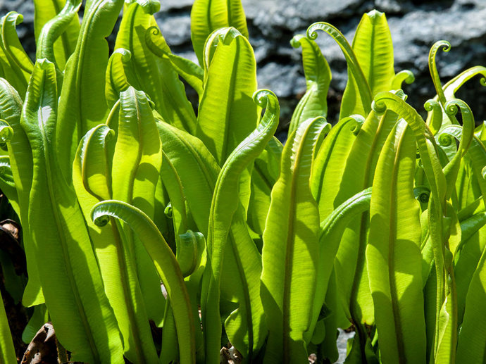 Umbraco.Cms.Infrastructure.PublishedCache.Property