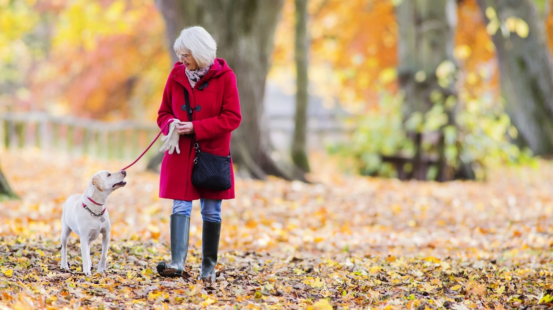 autumn woodland dog and owner