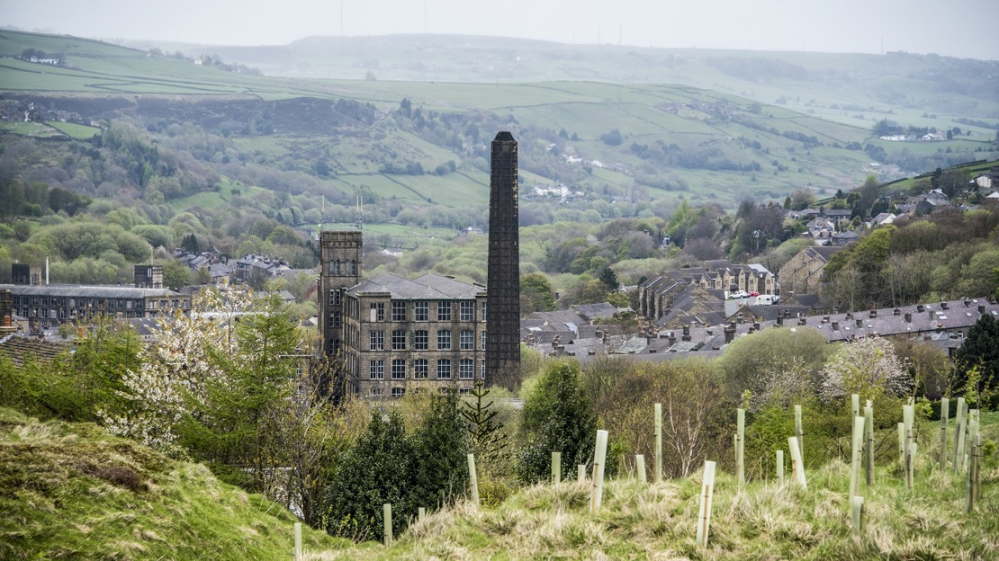 Northern Forest planting saplings with Marsden town in the background