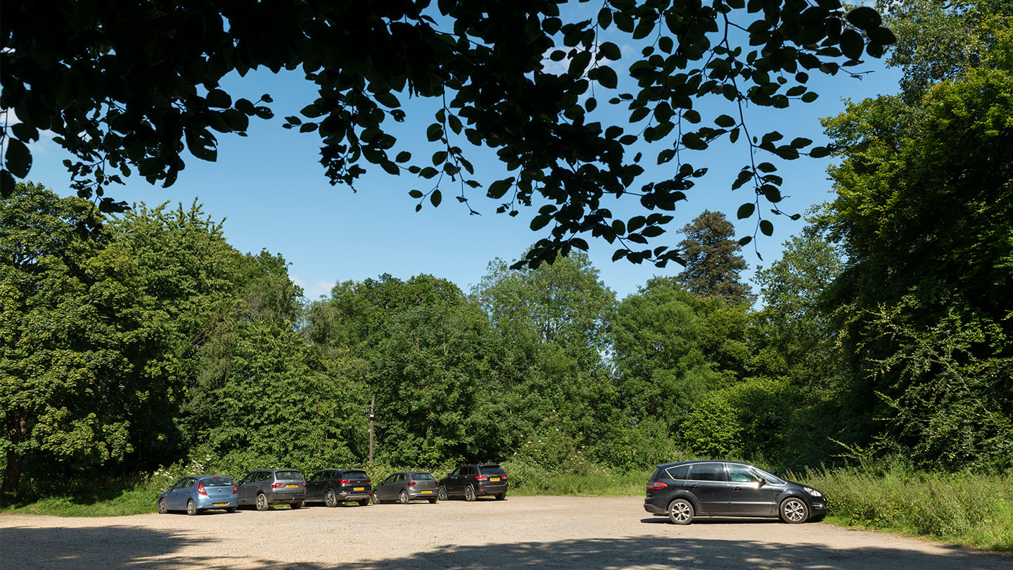 Penn Wood Visiting Woods Woodland Trust