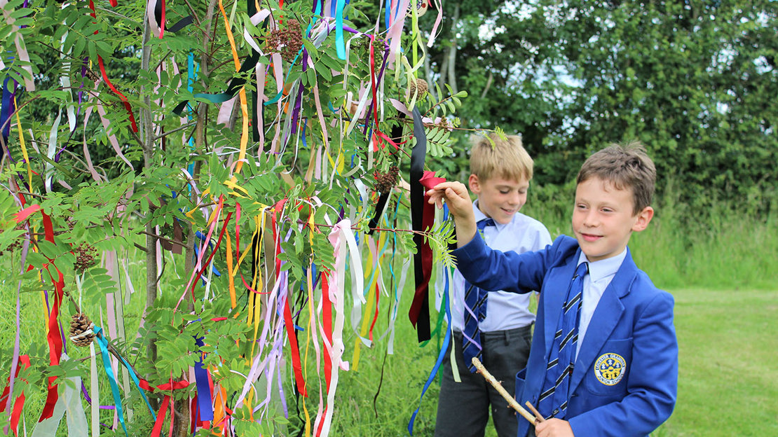 Boys decorating a tree outdoors