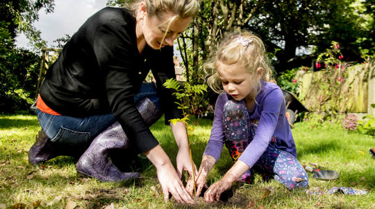 Adult and child planting tree