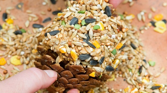 Close up of a homemade pine cone bird feeder