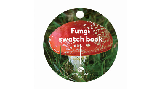 Fungi swatch book cover, featuring a fly agaric