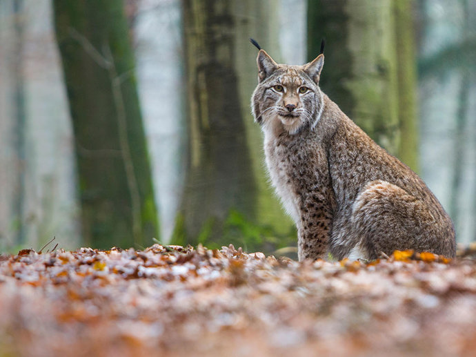 Umbraco.Cms.Infrastructure.PublishedCache.Property