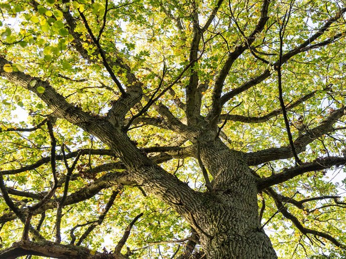 Umbraco.Cms.Infrastructure.PublishedCache.Property