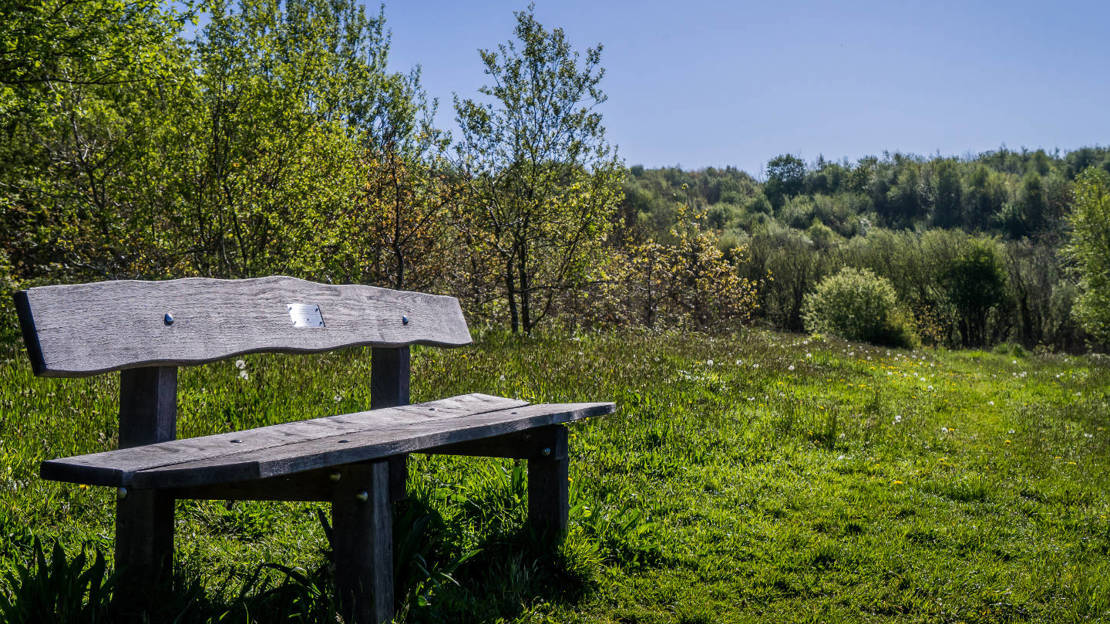 Dedication bench at Watkins Wood