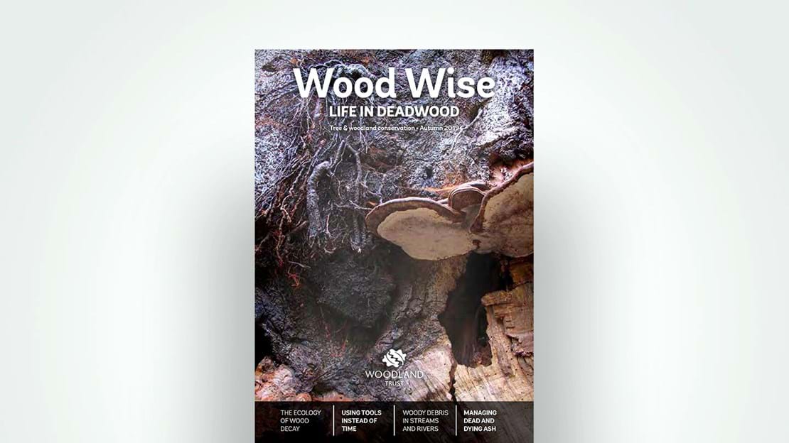 Front cover of Wood Wise, Autumn 2019 - Life in Deadwood