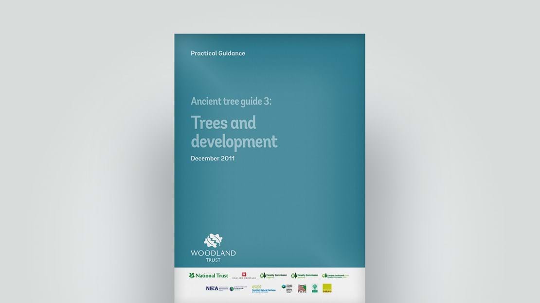 Front cover of Ancient Tree Guide 3 Trees And Development report, December 2011