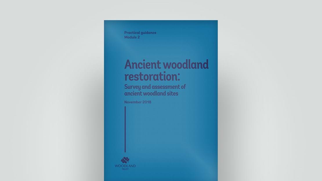Ancient woodland restoration cover, November 2018