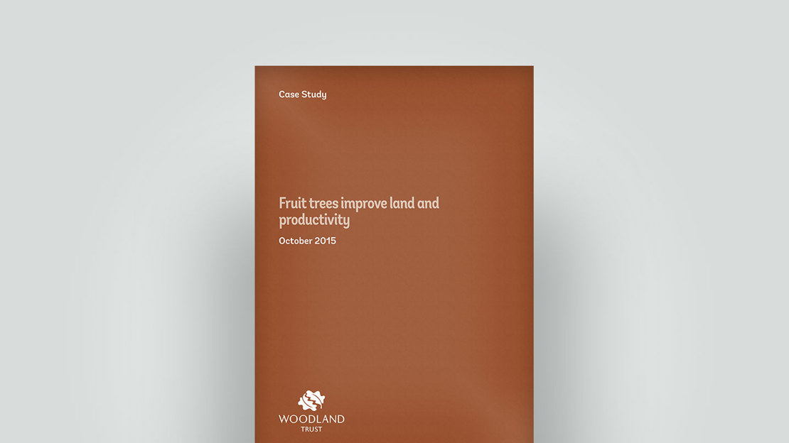 Front cover of case study