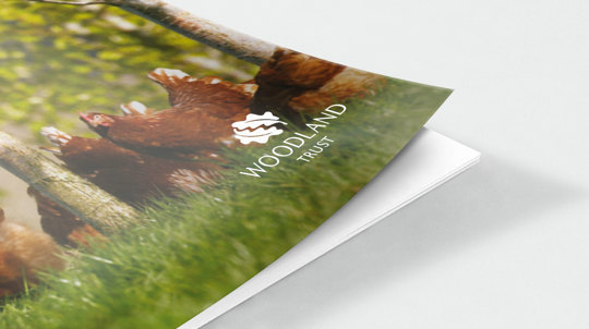 Role of trees in poultry farming research report cover, August 2012