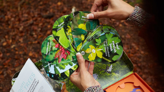 Leaf ID Swatch Book