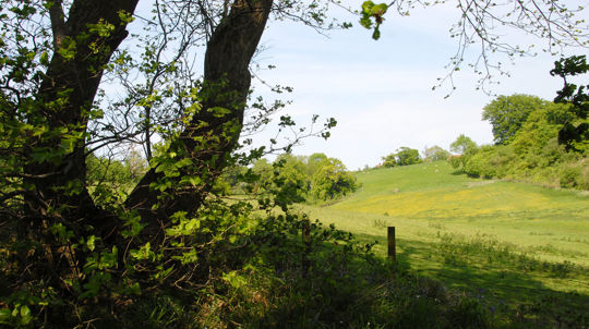 Hucking Estate, Kent