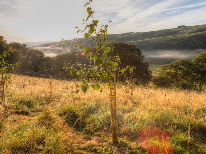 Umbraco.Cms.Infrastructure.PublishedCache.Property