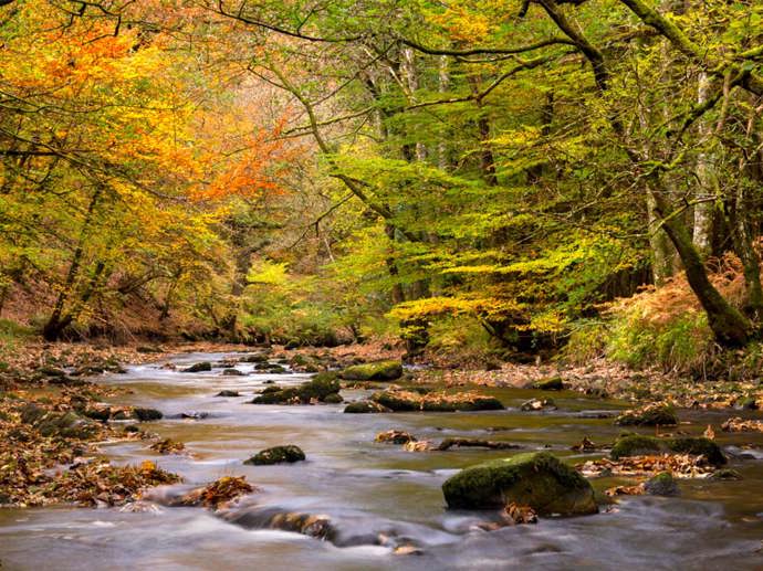 Umbraco.Cms.Infrastructure.PublishedCache.Property