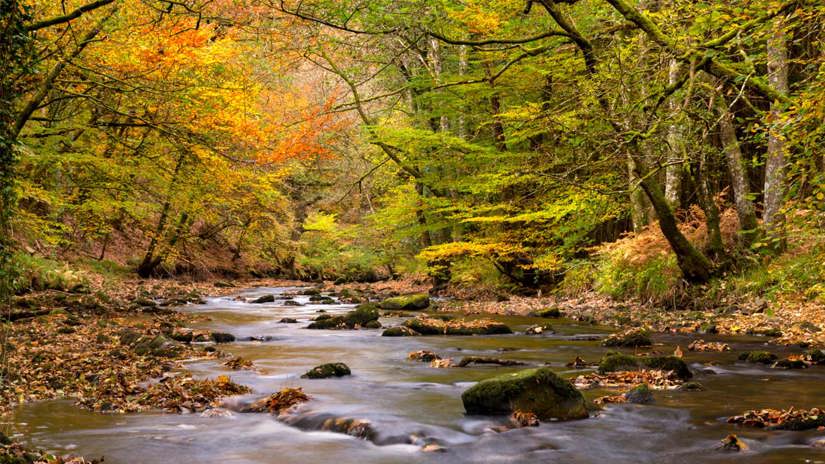 Umbraco.Cms.Infrastructure.PublishedCache.Property