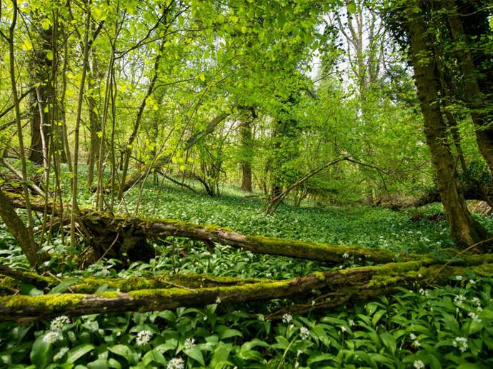 Umbraco.Cms.Infrastructure.PublishedCache.Property