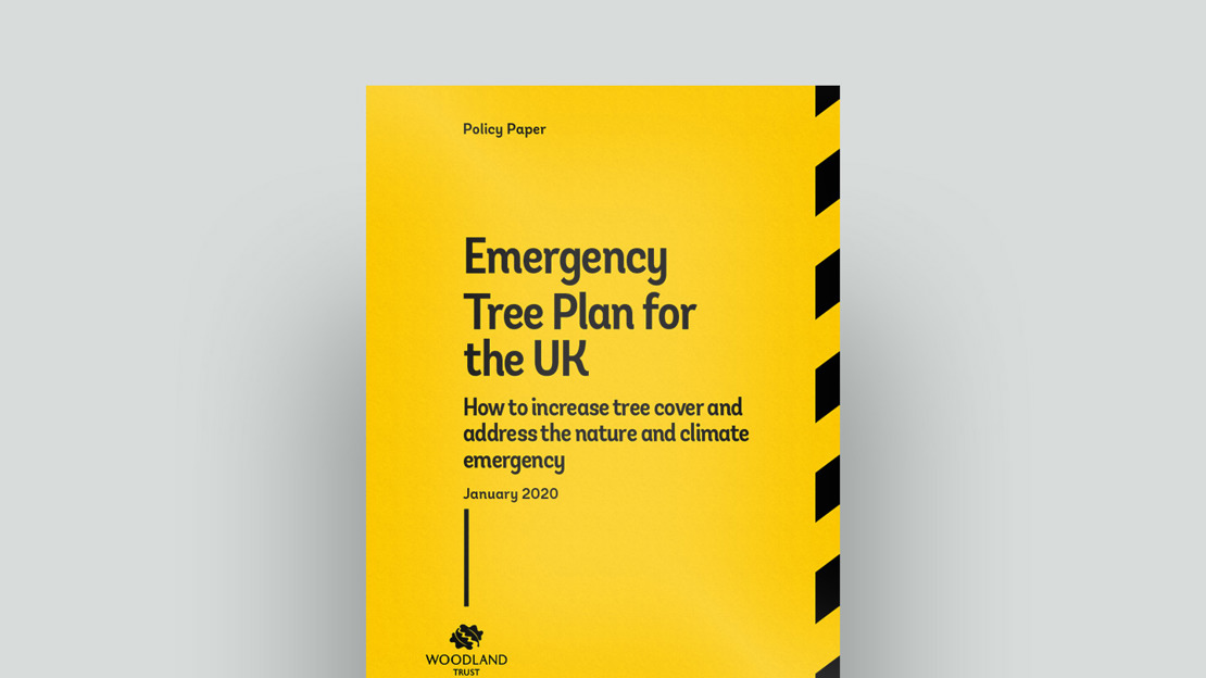 Emergency Tree Plan cover Emergency Tree Plan cover