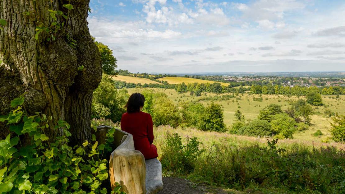 Woman on a bench overlooking Tring Park