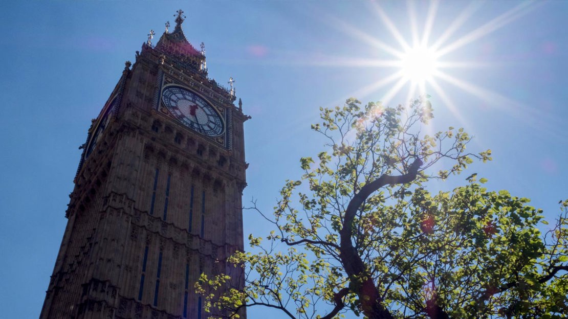 Tree outside of the Houses of Parliament with sun shining through