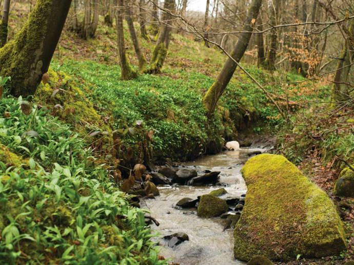 Umbraco.Cms.Infrastructure.PublishedCache.Property