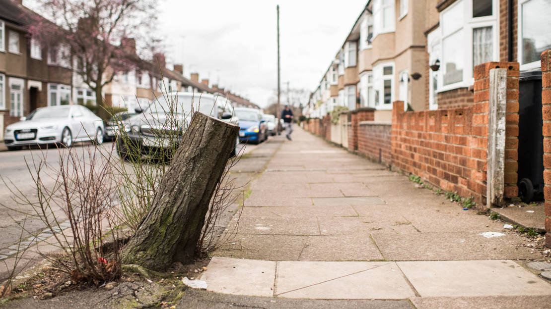 Stump of felled tree on a terraced street