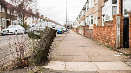 Stump of felled tree on a terraced street
