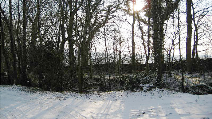 Snowy entrance to Scroggs Wood