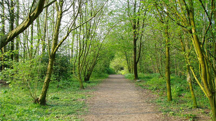 Tree-lined riverside path