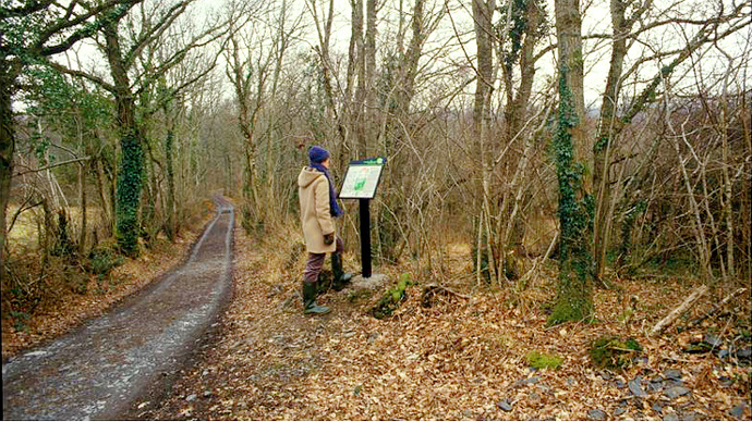 Warmly dressed walker viewing trail map