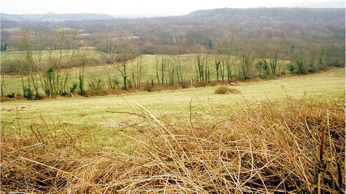 Viewing wood from grassland