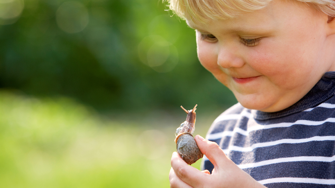 Boy looking at snail