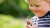 Boy looking at snail