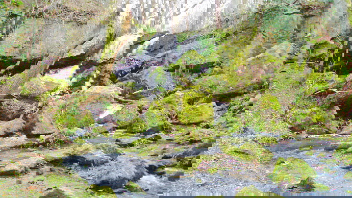 Waterfall with large moss-covered rocks in foreground