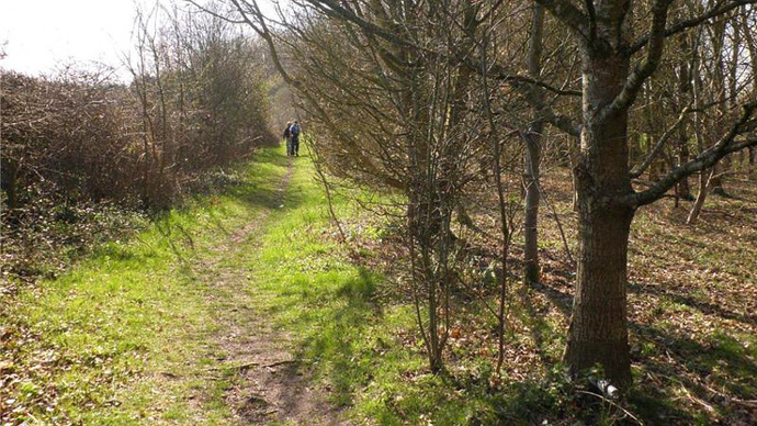 Path at the south side of the wood